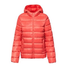 Hooded polyfilled jacket champion legacy 115750ps171 moterims rožinis naiset vaaleanpunainen 115750PS171 hinta ja tiedot | Naisten ulkoilutakit | hobbyhall.fi