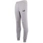 Ess logo pants fl puma 58671517 vīriešiem pilka miehet harmaa 58671517 hinta ja tiedot | Miesten urheiluvaatteet | hobbyhall.fi