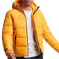 Hooded sports puffr jacket superdry m5011827a1le vīriešiem geltona miehet keltainen M5011827A1LE hinta ja tiedot | Miesten ulkoilutakit | hobbyhall.fi