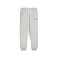 Puma Urheiluhousut Squad Pants Grey 677901 04 hinta ja tiedot | Naisten urheiluvaatteet | hobbyhall.fi