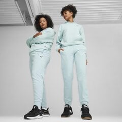 Better essentials pants puma 67598960 moterims violetine naiset violetti hinta ja tiedot | Naisten urheiluvaatteet | hobbyhall.fi