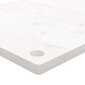 Pöytätaso vidaXL, 100x50x2,5 cm, valkoinen hinta ja tiedot | Pöytälevyt | hobbyhall.fi