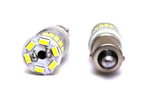 H21W LED BAY9S 12-24V CANBUS valkoinen vahva lamppu 700lm hinta ja tiedot | Polttimot | hobbyhall.fi