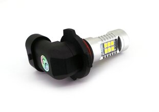 LED H10 12V 1900lm CANBUS hinta ja tiedot | Polttimot | hobbyhall.fi