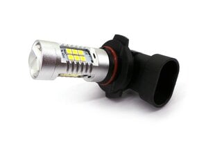 LED H10 12V 1900lm CANBUS hinta ja tiedot | Polttimot | hobbyhall.fi