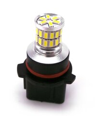 P13W LED-lamppu 12V CANBUS valkoinen 500lm hinta ja tiedot | Polttimot | hobbyhall.fi