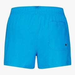 Puma miesten uimashortsit 907658*22, turkoosi 8720245573160 hinta ja tiedot | Miesten uimahousut ja -shortsit | hobbyhall.fi