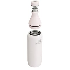 Thermo Bottle The All Day Slim Bottle 0,6L vaaleanpunainen hinta ja tiedot | Termoskannut ja termosmukit | hobbyhall.fi