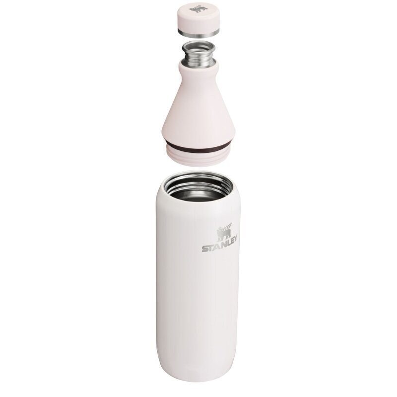 Thermo Bottle The All Day Slim Bottle 0,6L vaaleanpunainen vaaleanpunainen hinta ja tiedot | Termoskannut ja termosmukit | hobbyhall.fi