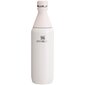 Thermo Bottle The All Day Slim Bottle 0,6L vaaleanpunainen vaaleanpunainen hinta ja tiedot | Termoskannut ja termosmukit | hobbyhall.fi