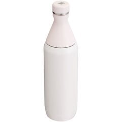 Thermo Bottle The All Day Slim Bottle 0,6L vaaleanpunainen hinta ja tiedot | Termoskannut ja termosmukit | hobbyhall.fi