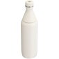 Thermo Bottle The All Day Slim Bottle 0,6L kermanv&auml;risen&auml; hinta ja tiedot | Termoskannut ja termosmukit | hobbyhall.fi