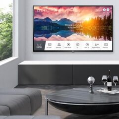 LG 43" 4K Ultra HD näyttöratkaisu yrityksille : 43US662H0ZC hinta ja tiedot | Televisiot | hobbyhall.fi