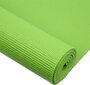 Joogamatto One Fitness YM02 173x61x0,6 cm, vihreä hinta ja tiedot | Joogamatot | hobbyhall.fi