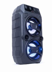 GEMBIRD Bluetooth ar karaoke SPK-BT-13 hinta ja tiedot | Kaiuttimet | hobbyhall.fi