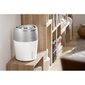 Ilmankostutin Philips NanoCloud HU4803/01, kultainen/ valkoinen hinta ja tiedot | Ilmankostuttimet | hobbyhall.fi