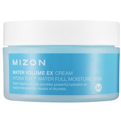 Kosteuttava kasvovoide Mizon Water Volume Ex Cream 100 ml hinta ja tiedot | Kasvovoiteet | hobbyhall.fi