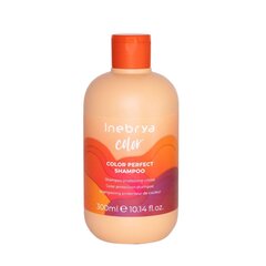 Inebrya Ice Cream Pro-Color shampoo 300 ml hinta ja tiedot | Shampoot | hobbyhall.fi