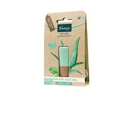 Kneipp Lip Care Water Mint Aloe Vera -huulibalsami, 4,7 g hinta ja tiedot | Huulipunat, huulikiillot ja huulirasvat | hobbyhall.fi