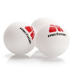 Pöytätennissetti Meteor 15029. hinta ja tiedot | Meteor Mailapelit | hobbyhall.fi