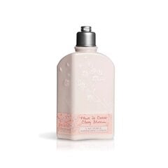 L´Occitane Cherry Blossom vartaloemulsio 250 ml hinta ja tiedot | Vartalovoiteet ja -emulsiot | hobbyhall.fi