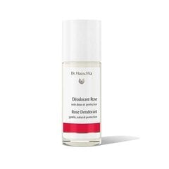 Dr. Hauschka Sage Mint deodorantti 50 ml hinta ja tiedot | Dr. Hauschka Hajuvedet ja kosmetiikka | hobbyhall.fi