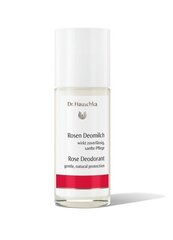Dr. Hauschka Dr. Hauschka deodorantti 50 ml hinta ja tiedot | Deodorantit | hobbyhall.fi