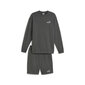 Puma Urheiluasu Relaxed Sweat Grey 673308 80 hinta ja tiedot | Miesten urheiluvaatteet | hobbyhall.fi