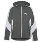 Evostripe full-zip hoodie puma 67899580 vīriešiem pilka miehet harmaa 67899580 hinta ja tiedot | Miesten puserot ja hupparit | hobbyhall.fi