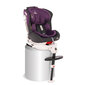 Turvaistuin Lorelli Pegasus, Isofix, 0-36 kg, harmaa & violetti. hinta ja tiedot | Turvaistuimet | hobbyhall.fi