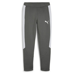 Evostripe pants dk puma 67899780 vīriešiem pilka miehet harmaa 67899780 hinta ja tiedot | Miesten urheiluvaatteet | hobbyhall.fi