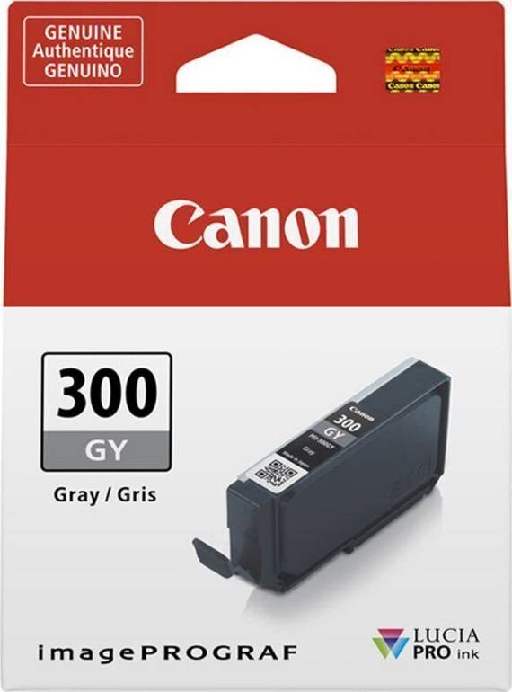 CANON PFI-300 GY EUR/OCN grey hinta ja tiedot | Mustekasetit | hobbyhall.fi