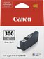 CANON PFI-300 GY EUR/OCN grey hinta ja tiedot | Mustekasetit | hobbyhall.fi