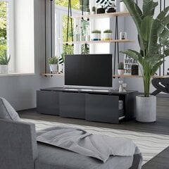 TV-kaappi, 120x34x30cm, harmaa hinta ja tiedot | TV-tasot | hobbyhall.fi