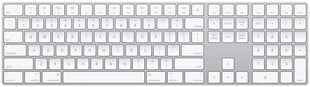 Apple Magic Keyboard numeronäppäimistöllä ENG langaton näppäimistö, MQ052LB/A hinta ja tiedot | Näppäimistöt | hobbyhall.fi