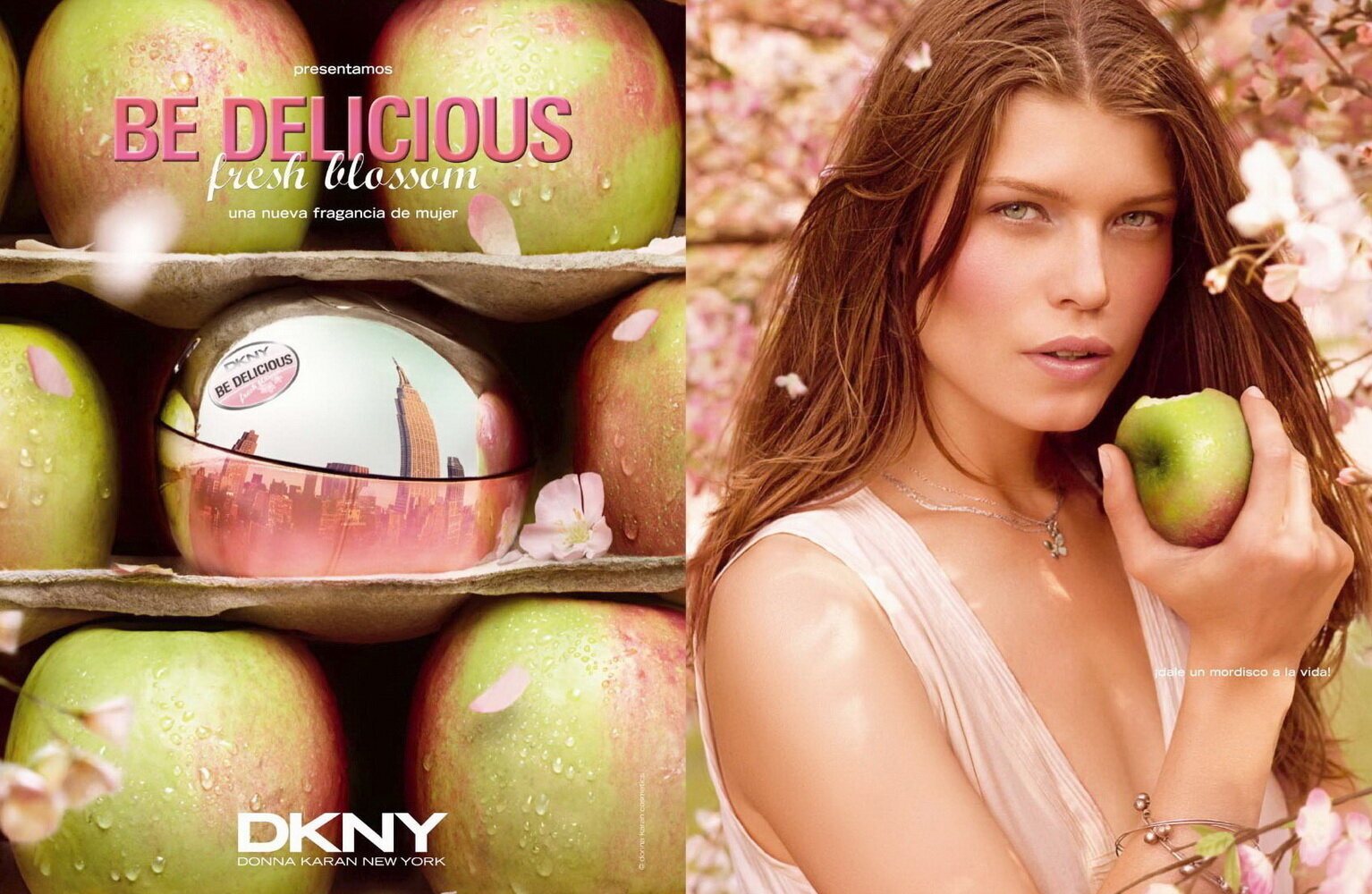 Eau de parfum Donna Karan DKNY Be Delicious Fresh Blossom EDP naisille 50 ml hinta ja tiedot | Naisten hajuvedet | hobbyhall.fi