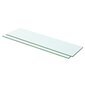 vidaXL Hyllyt 2 kpl kirkas lasi 60x12 cm hinta ja tiedot | Hyllyt | hobbyhall.fi