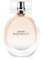 Calvin Klein Sheer Beauty EDT naiselle 30 ml hinta ja tiedot | Naisten hajuvedet | hobbyhall.fi