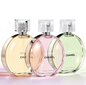 Chanel Chance Eau Tendre EDT naiselle 150 ml hinta ja tiedot | Naisten hajuvedet | hobbyhall.fi