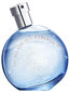 Hermes Eau Des Merveilles Bleue EDT naiselle 50 ml hinta ja tiedot | Naisten hajuvedet | hobbyhall.fi