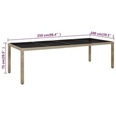 vidaXL Puutarhapöytä 250x100x75 cm karkaistu lasi ja PE-rottinki beige hinta ja tiedot | Puutarhapöydät | hobbyhall.fi