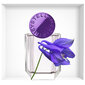 Stella McCartney Stella Pop Bluebell EDP naiselle 50 ml hinta ja tiedot | Naisten hajuvedet | hobbyhall.fi