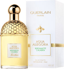 Guerlain Aqua Allegoria Bergamote Calabria EDT Hajuvesi unisex 75 ml hinta ja tiedot | Naisten hajuvedet | hobbyhall.fi