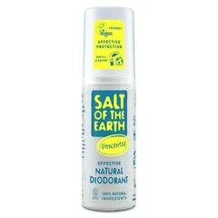 Hajusteeton suihkedeodorantti Salt of the Earth, 100 ml hinta ja tiedot | Salt of the Earth Hajuvedet ja kosmetiikka | hobbyhall.fi