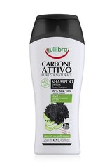 Equilibra aktiivihiili shampoo 250 ml hinta ja tiedot | Shampoot | hobbyhall.fi