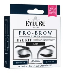 Eylure Pro-Brow Dybrow kulmakarvojen värjäyssetti hinta ja tiedot | Kulmavärit ja kulmakynät | hobbyhall.fi