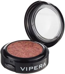 Vipera City Fun Blush poskipuna 5.5 g, sävy 25 hinta ja tiedot | Vipera Hajuvedet ja kosmetiikka | hobbyhall.fi