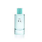 Tiffany & Co. Tiffany & Love EDP naiselle 90 ml hinta ja tiedot | Naisten hajuvedet | hobbyhall.fi