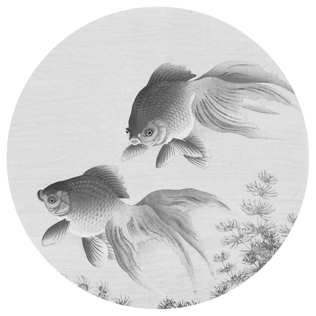 WallArt Tapetti ympyrä Two Goldfish 190 cm hinta ja tiedot | Valokuvatapetit | hobbyhall.fi