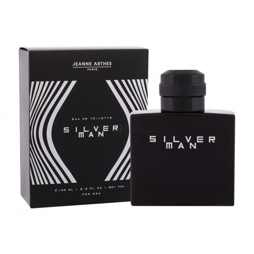 Jeanne Arthes Silver Man EDT miehelle 100 ml hinta ja tiedot | Miesten hajuvedet | hobbyhall.fi